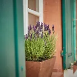 Apartman Neu!!! Moselbleibe Uferallee