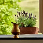 Neu!!! Moselbleibe Uferallee Apartman *
