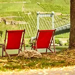 Neu!!! Moselbleibe Uferallee