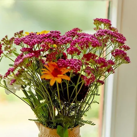 Neu!!! Moselbleibe Uferallee *