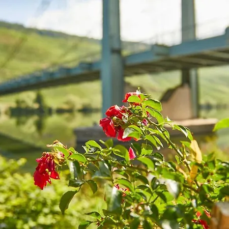 Neu!!! Moselbleibe Uferallee Διαμέρισμα Bernkastel-Kues