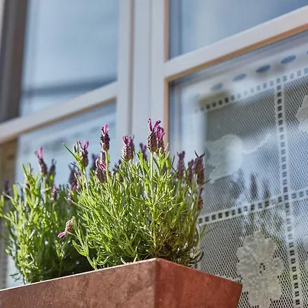 Neu!!! Moselbleibe Uferallee * Commune fusionnée de Bernkastel-Kues