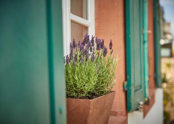 アパート Neu!!! Moselbleibe Uferallee