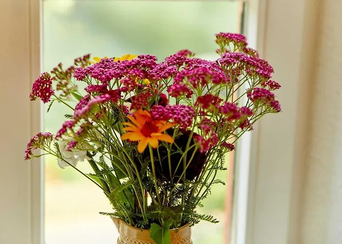 Neu!!! Moselbleibe Uferallee *