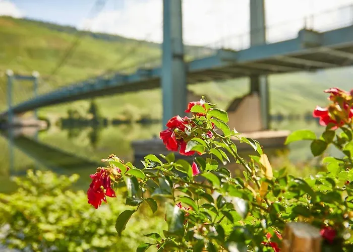 Neu!!! Moselbleibe Uferallee דירה ברנקסטל - קיס