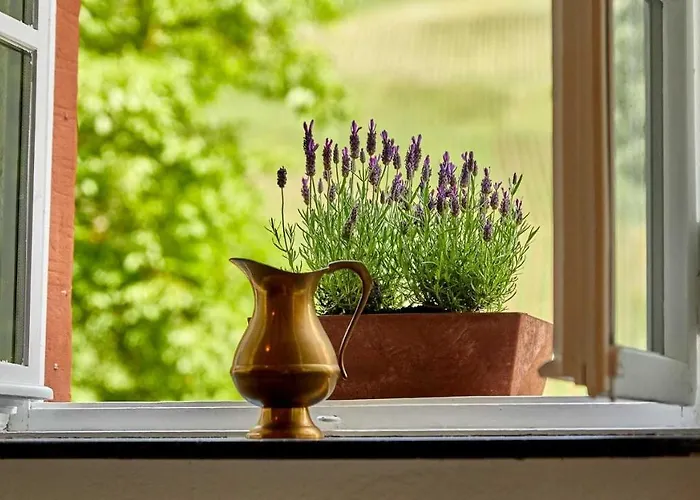 Neu!!! Moselbleibe Uferallee 아파트 *