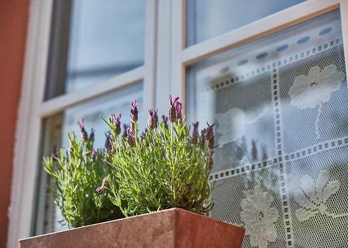 Neu!!! Moselbleibe Uferallee * ベルンカステル・クース