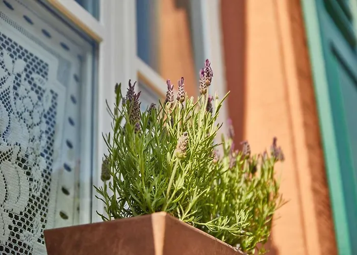 Neu!!! Moselbleibe Uferallee 아파트 *